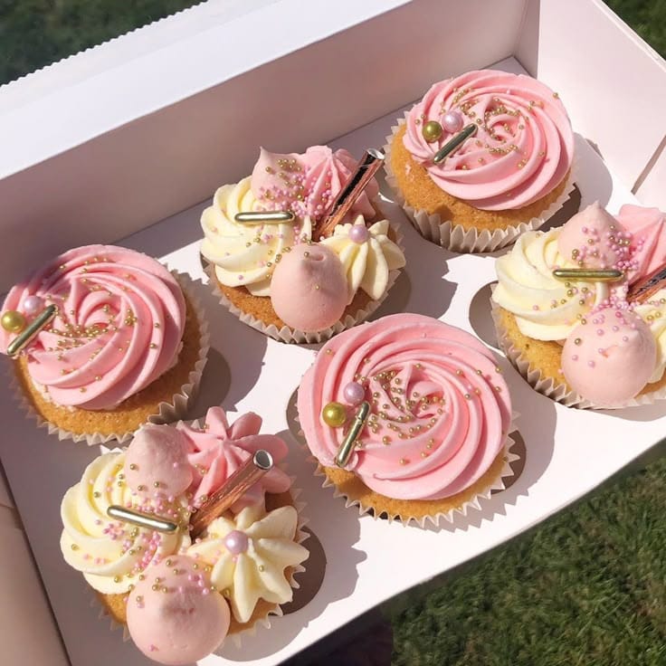 Cupcake Box